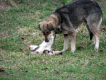 77-IMG_3803_psy.jpg