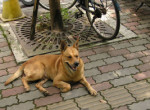 78-P1010026_psy.jpg