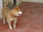 80-P6270050_psy.jpg