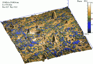 Joint 3D  image of topography and phase shift